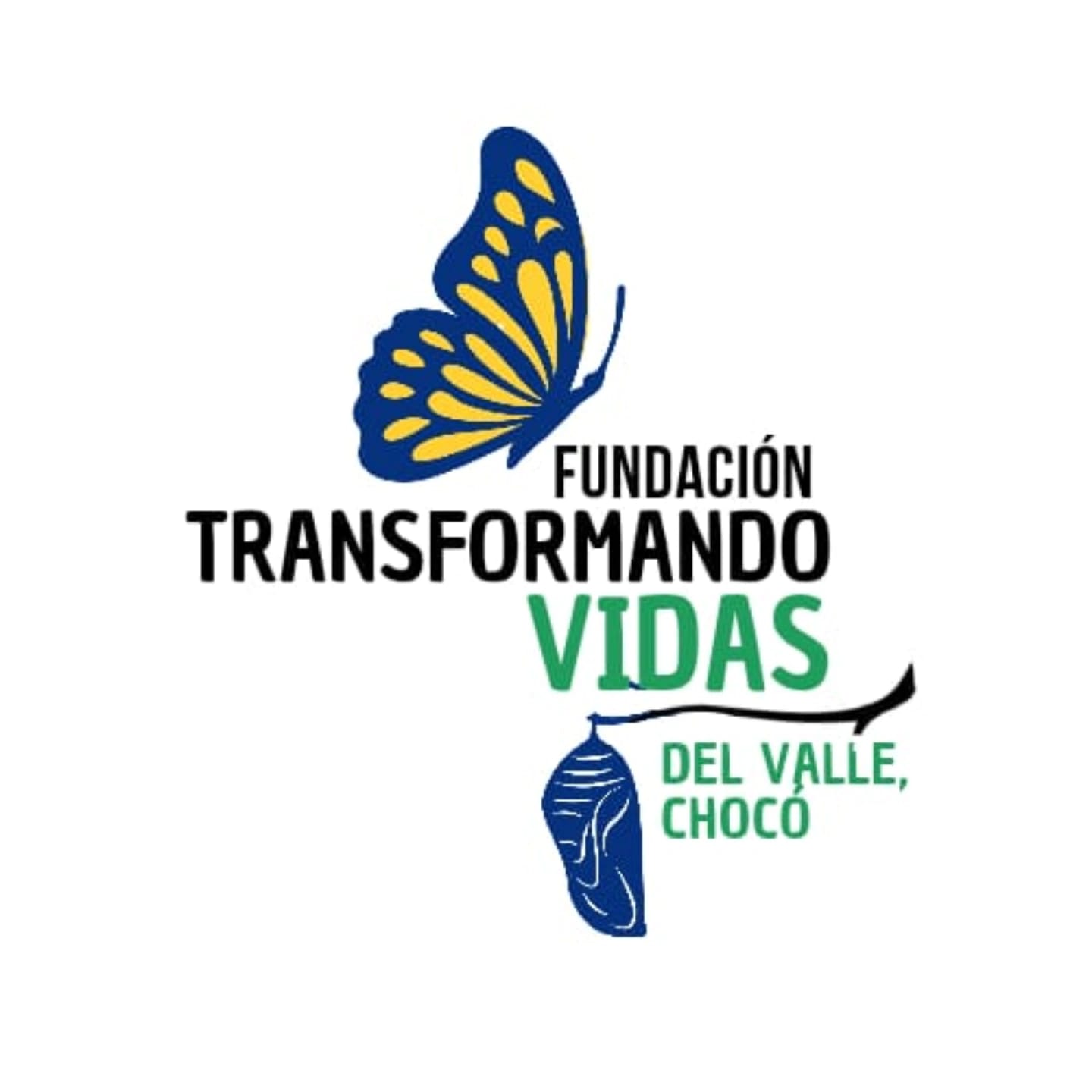 Fundación Transformando Vidas